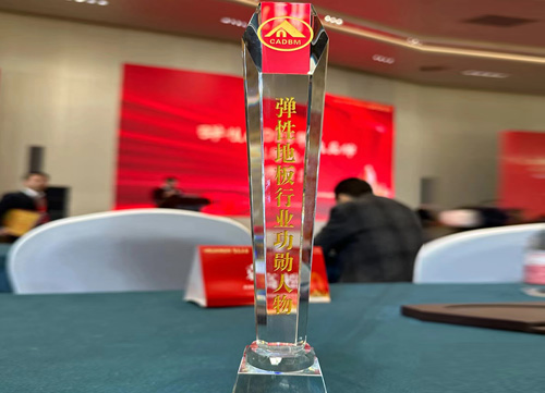 彈性地板行業(yè)功勛人物獎